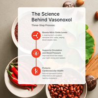 Vasonoxol® 3-Pack – 360 Capsules | US-Patented Nitric Oxide Supplement for Cardiovascular Support