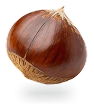 HORSE CHESTNUT SEED EXTRACT