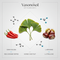 Vasonoxol® Annual Pack (12 Bottles) – 1,440 Capsules | Full Year Nitric Oxide Supply